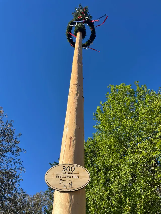 Jubiläumsmaibaum